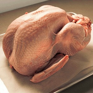 Vente en gros de dinde congelée halal de qualité supérieure Dinde entière dans un emballage en vrac avec boîte - Product Image 5