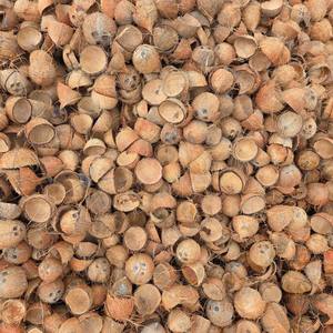 Natural <b>Coconut</b> Shell Halves Whole Shape Eco-Friendly <b>Candle</b> Holder Agricultural Waste 100% <b>Coconut</b> Shell High Quality GIA GIA - Product Image 1