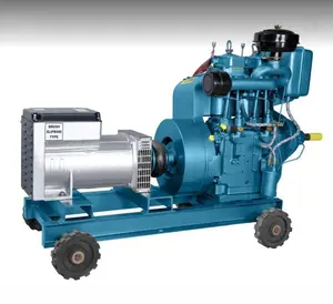 Diesel Stroomgenerator