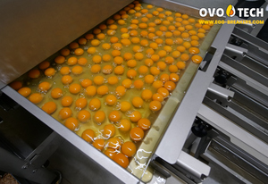 Rompehuevos OVO-TECH RX-6, Caja de Cambios para 39000 Huevos por Hora, Cuerpo de Acero Inoxidable 304, Totalmente Automático, Comercial, para Hostelería - Product Image 3