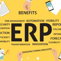 Solución de software ERP Desarrollo de software Aplicaciones de escritorio