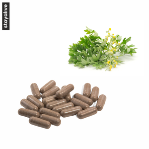 OEM Private Label Service Wormwood Capsules | 120 Capsules | Herbal Complex | Non-GMO, Gluten Free - Product Image 3