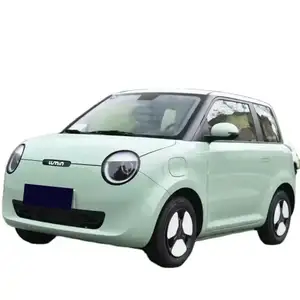 새로운 에너지 자동차 장안 루민 옥수수 새로운 Ev 자동차 새로운 에너지 자동차 순수 전기 녹색 하이 퀄리티 작고 저렴한 새로운 에너지 자동차