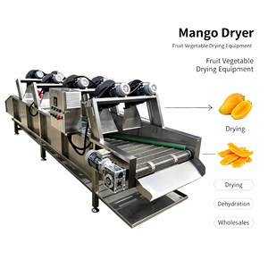 Armoire de séchage à circulation d'air chaud en acier inoxydable 304 de grande capacité 200 kg/h pour la déshydratation des fruits et légumes, idéale pour l'atelier de déshydratation de mangues - Product Image 1