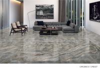 Carrelage en porcelaine brillant EliteX 600x1200, grand format, surface polie de qualité supérieure, pour murs et sols, design moderne intérieur/extérieur Plus
