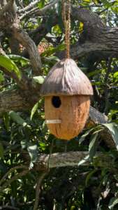 Nids d'oiseaux en coco écologiques et respirants Sri Lankais fabriqués à partir de cosses et de coquilles de noix de coco de la meilleure qualité - Product Image 5