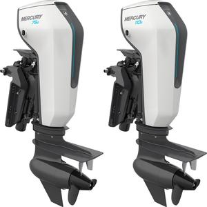 Moteurs hors-bord électriques Ava-tors 75e et 110e, best-sellers - Product Image 1