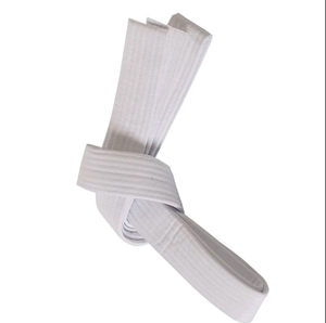 Alta calidad 100% algodón Karate BJJ Judo Taekwondo cinturón colores personalizables MMA Logo estampado diferentes deportes temáticos cinturones de Karate - Product Image 2