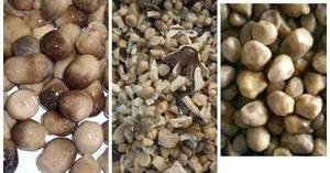 SETA SALADA DE CULTIVO SILVESTRE/BUENZA A BASE DE PLANTAS/SIN CONSERVADORES - Product Image 2