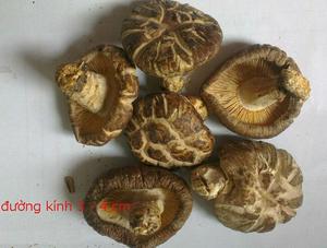 Hongo Shiitake Seco Premium de Vietnam, Cápsulas Enteras, Suministro a Granel, Directo de Fábrica - Product Image 2