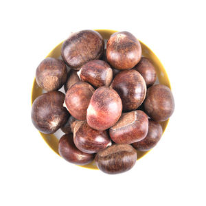 Castañas Secas Orgánicas de Primera Calidad - Sabor Dulce Crudo de Kennel a Precio Económico - Product Image 3