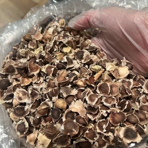 Giá cả cạnh tranh khô oleifera <span class=keywords><strong>Moringa</strong></span> Hạt giống chất lượng tốt khô <span class=keywords><strong>Moringa</strong></span> hạt giống từ Việt Nam cho xuất khẩu - Product Image 1