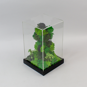 Terrarium vertical avec mousse et fleurs préservées, 5,5 x 5,5 x 9 pouces, couvercle en acrylique, décoration écologique - Product Image 3