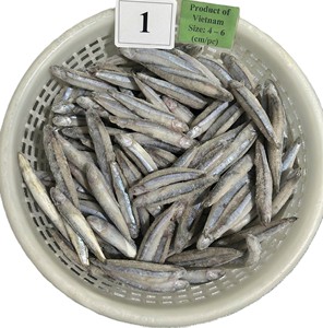 Produits de la mer d'anchois bleus congelés Emballage sous vide IQF/BQF Vente en gros - Product Image 5