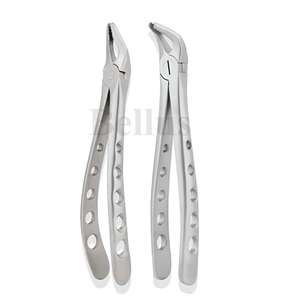 Pince à racine d'incisive inférieure Standard anglaise professionnelle Instrument d'extraction dentaire personnalisable Outil chirurgical de qualité médicale - Product Image 3