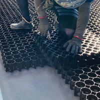 Grilles de gazon en plastique noir de 4 cm, matériau durable en PP et HDPE pour allées et parkings, géogrilles BinFen