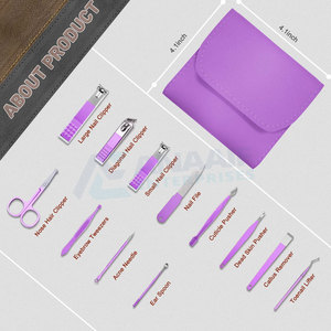 Coupe-ongles professionnel de toilettage de la meilleure qualité ensemble de manucure et de pédicure en acier inoxydable Kit de beauté Instruments - Product Image 6