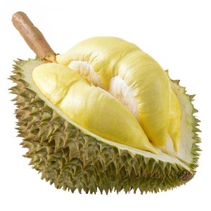 Durian frais coupé thaïlandais biologique de qualité supérieure-Grade un goût crémeux sans pépins pratique fraîchement emballé pour les amateurs de Durian - Product Image 1