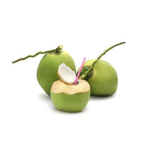 Coco de Vietnam de Calidad Premium, Fruta Subtropical Madura de Agua Dulce, Joven, Semi-Descascarillada, Fresca, de 12 a 15 cm - Product Image 5