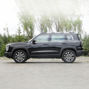 Ridever Haval Dargo 2024 2.0T DCT中国牧犬版新车待售中国畅销俄罗斯特价 - Product Image 3