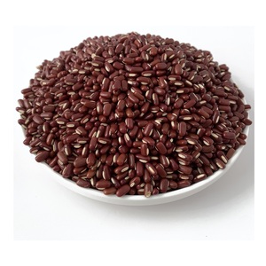 ถั่วแดงอบแห้งคุณภาพสูงขายส่ง / ถั่วแดง - Product Image 1