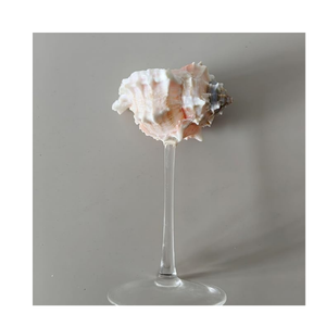Sustainable Natural Shell <b>Glass</b> for Wine Tasting Handmade Goblets from Turbo Shells Vietnam Export - Product Image 4