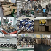 Vanne à opercule manuelle BMAG DN20 3/4 pouce en laiton renforcé, double union, résistante à la corrosion, pour alimentation en eau PPR, haute température