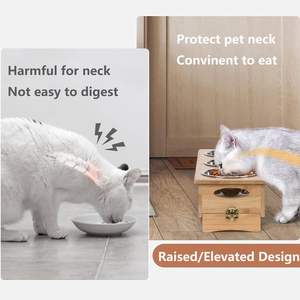 Raised Cat Food <b>Bowl</b> Elevated and Water Bamboo Cat Feeding <b>Bowl</b> Pet Food <b>Stand</b> 3 Stainless Steel - Product Image 2