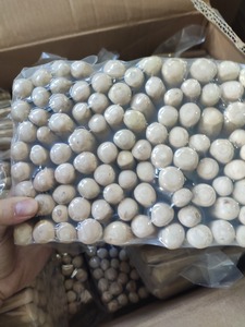 ของเล่นเคี้ยวไม้ธรรมชาติที่ทนทานสำหรับสัตว์เลี้ยงเหมาะสำหรับสุนัขและแมวไม้เคี้ยวที่ไม่เป็นพิษและยาวนานสำหรับการดูแลทันตกรรม - Product Image 5