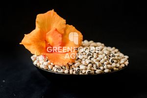 Hữu cơ mắt Đen đậu khô số lượng lớn bao bì - Product Image 5