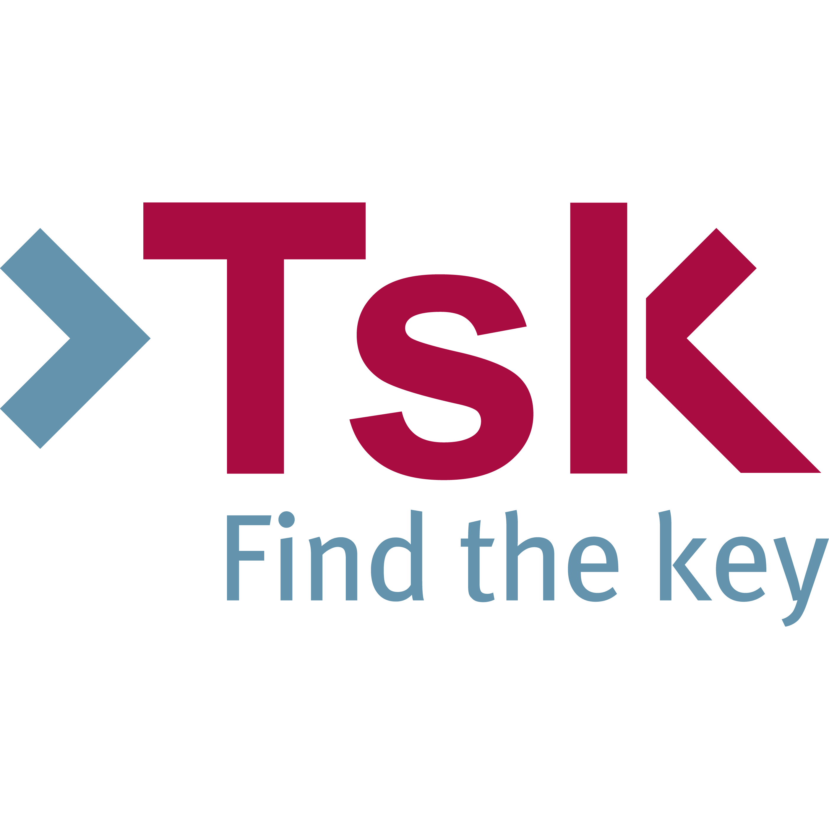 TASK SRL logo