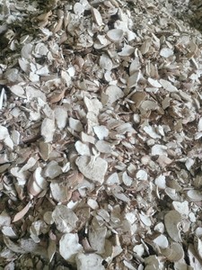 CHIPS DE YUCA SECA VIETNAMITA A BAJO PRECIO PARA ALCOHOL Y ALIMENTACIÓN ANIMAL - Product Image 4