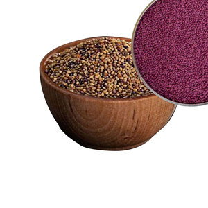 Trébol Berseem | Seguro y digerible para todos los animales - Product Image 4