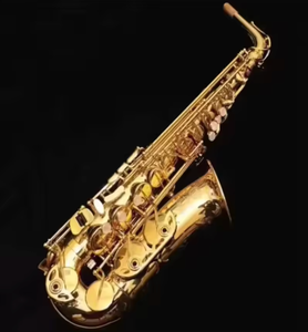 Saxophone alto Selmerr Paris série II Super Action 80, tonalité Sib, design laqué or, matériau en laiton, embouchure en caoutchouc dur - Product Image 1