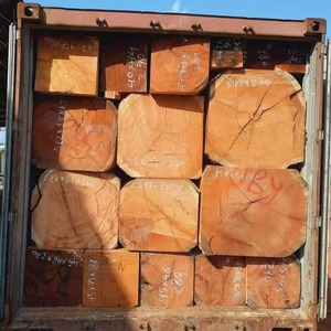 Importation industrielle de qualité haut de gamme DOUSSIE Grumes de bois Support technique en ligne - Product Image 5