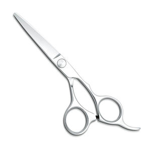 En vente coiffeur pro coupe de cheveux 6.5 pouces cisailles meilleure coiffure en acier inoxydable droite coiffure ciseaux pour salon - Product Image 1