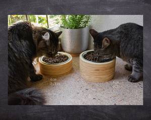 Elevated Cat Bowl Stannd/ Bamboo Bowl Made in Vietnam - Product Image 6