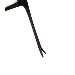 Fórceps de cocodrilo dentales equinos veterinarios en acero inoxidable disponibles en todo tipo de calidades y tamaños fórceps recubiertos negros de 14CM - Product Image 6