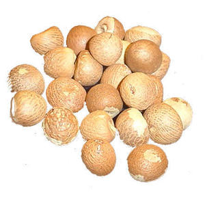 top quality betel nuts at wholesale prices from india