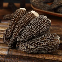 Champignons Morel Naturels Sauvages Biologiques Aliment Sain Champignons Noirs Séchés