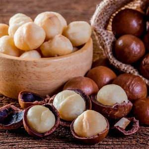Noix de macadamia biologiques de qualité supérieure haute nutrition fruits tropicaux emballés sous vide crus bons pour la santé fabriqués au Vietnam - Product Image 4