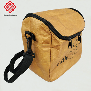 Baoren New Designer Crossbody Shoulder Insulated Eco-Friendly Durable Zipper Portable Food Storage <b>Cooler</b> Bag for 2 Persons - Product Image 1