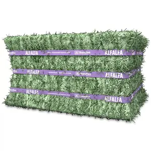 Guter Export preis Alfalfa Hay/Alfalafa Hay Grass von höchster Qualität für Tiere
