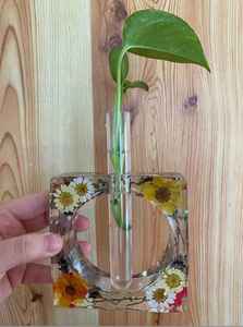 DIY Durable Handmade Modern Rectangle Buffalo Bone <b>Photo</b> <b>Frame</b> Molds for Plant Propagation Station Hydroponic Flowers - Product Image 2