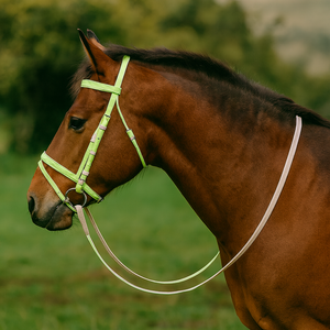 Bridon et Licol Équestre de Haute Qualité en Cuir PVC Imperméable avec Rênes et Logo Personnalisé, Caractéristiques de Sécurité pour l'Équitation - Product Image 3