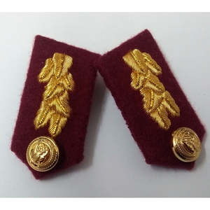 Émirats arabes unis, gorgettes, détails de tresses dorées sur le cou et les épaules, patchs d'eau de qualité supérieure en nylon et polyester, couleur personnalisée, écologique - Product Image 6