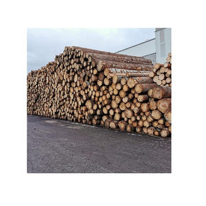 Clasificación de Calidad A/B/C de Troncos de Pino para Aplicaciones Versátiles en las Industrias de la Construcción, Muebles y Paisajismo, Exportación - Product Image 2