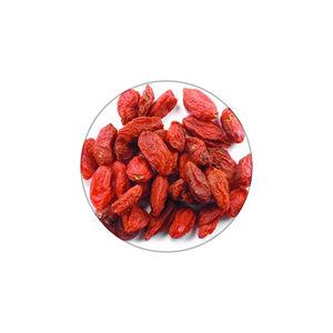 Bayas de Goji suministradas para marcas de productos naturales y fabricantes de jugos - Product Image 4