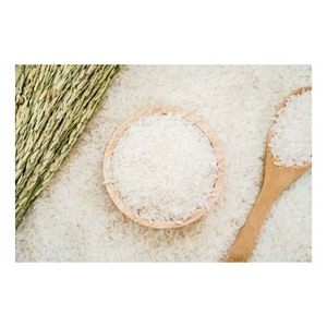 Arroz blanco redondo al por mayor, estándar de exportación, larga vida útil, perfecto para cadenas minoristas y supermercados - Product Image 1