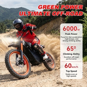 Moto électrique tout-terrain 6500W IPX6 60Nm 3 vitesses, capacité de montée de 65 degrés, pour la conduite sur sentiers, dunes de sable, moto électrique tout-terrain sans balais - Product Image 5
